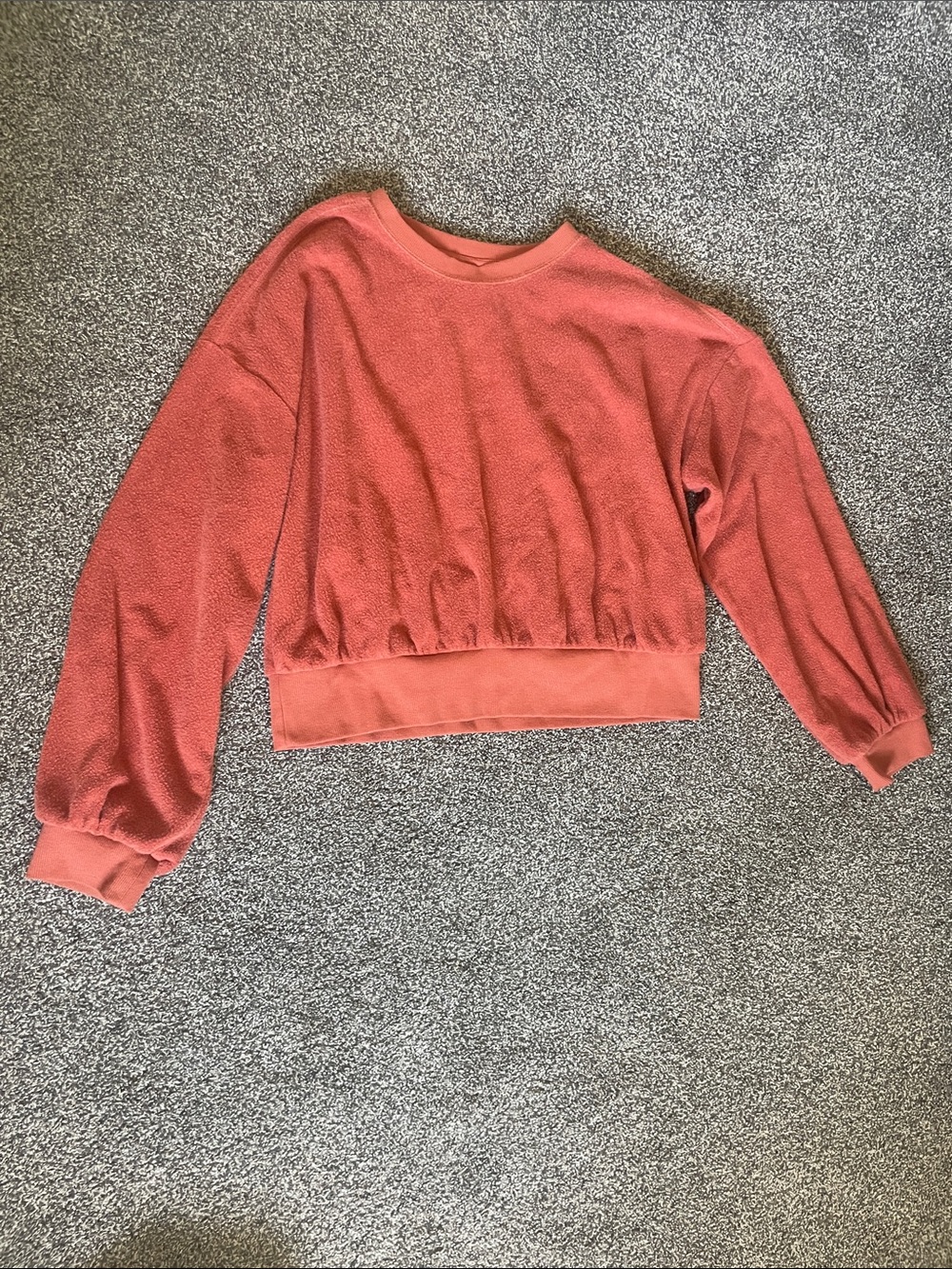 Universal Thread Burnt Orange Cropped Sweatshirt
